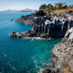 Coralli di Jeju in crisi: torna lo slumping nelle acque sudcoreane